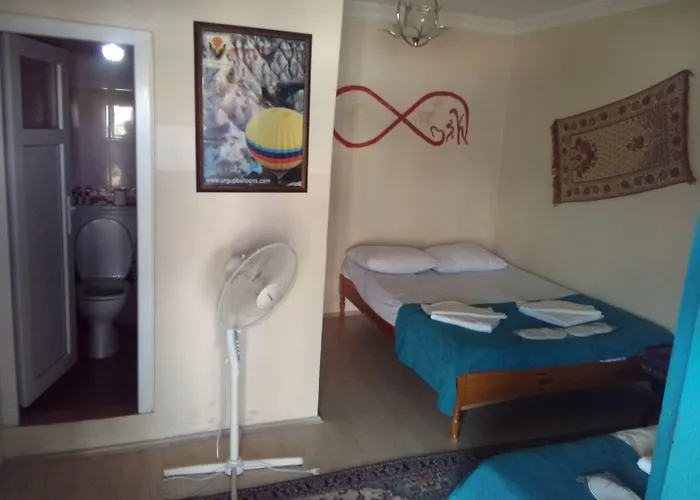 ホームステイ Cappa Cave