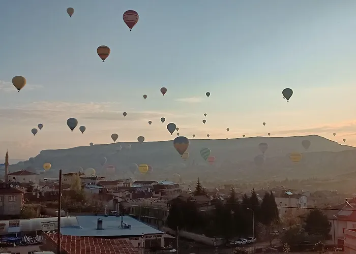 ホームステイ Cappa Cave